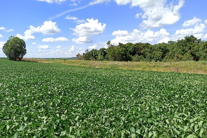 Gestão de risco ambiental