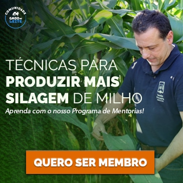 PROGRAMA DE MENTORIAS – silagem