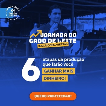 Jornada Gado de Leite